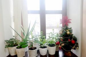 Фото клиники Клиника Здоровья на Маросейке