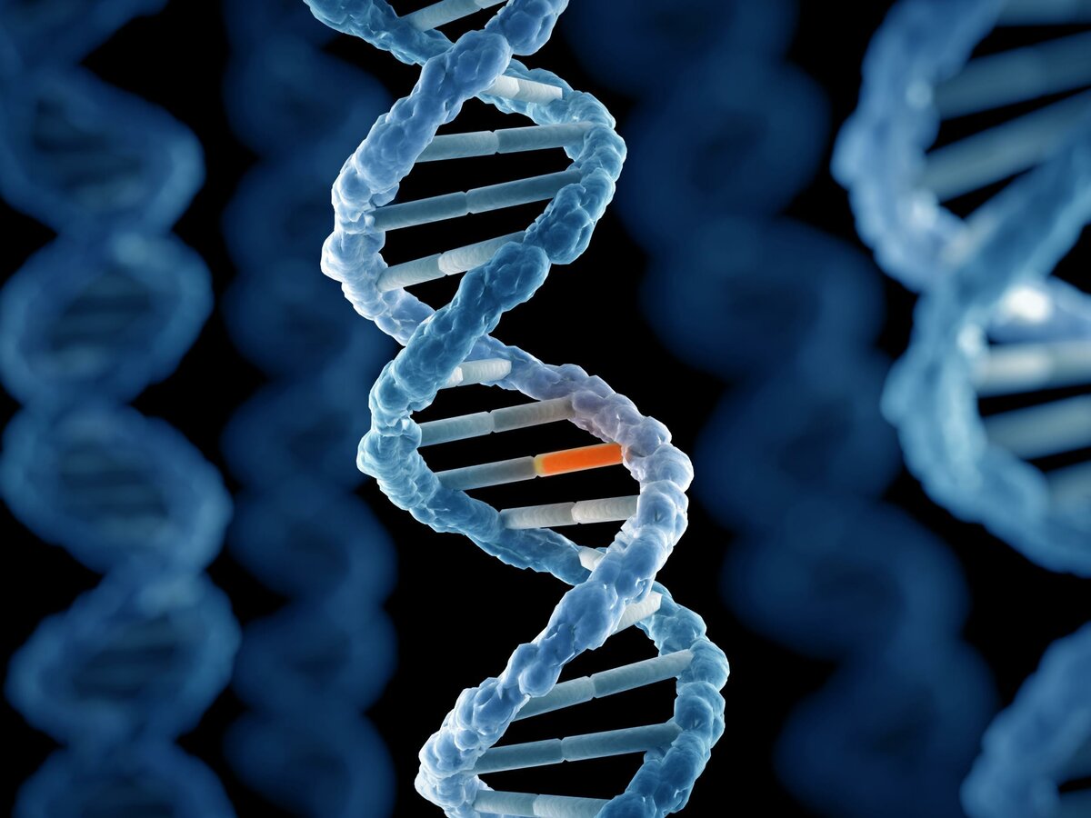 Генетические нарушения - ДНК