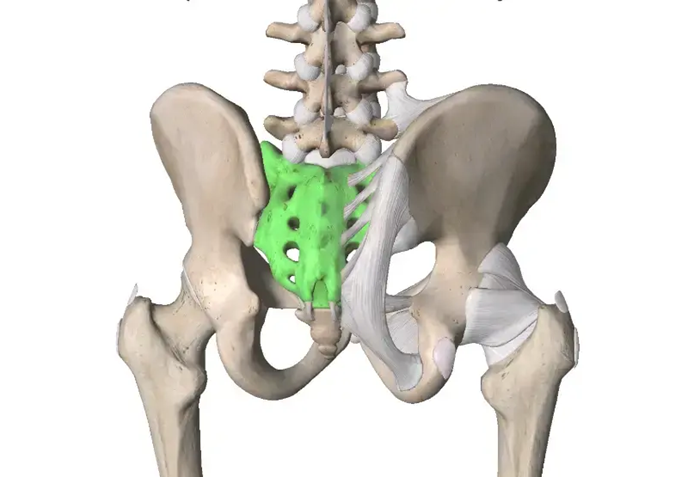 Рентген крестцово-копчиковой области - диагностика