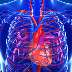 КТ грудной аорты и легочной артерии - диагностика