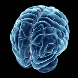 КТ головного мозга - диагностика на компьютерном томографе