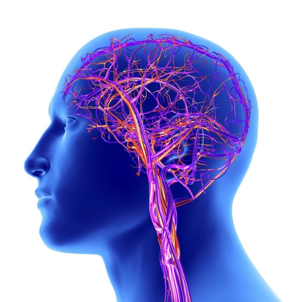 КТ-ангиография головного мозга - описание диагностики