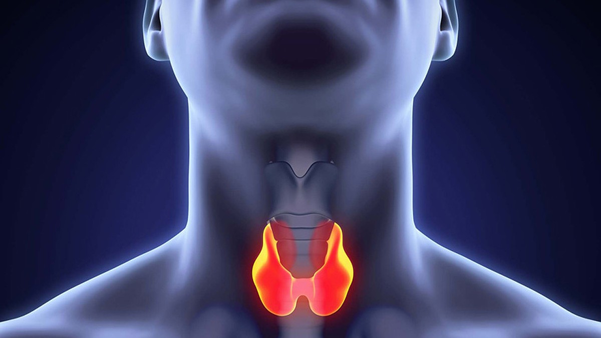 УЗИ щитовидной железы - диагностика