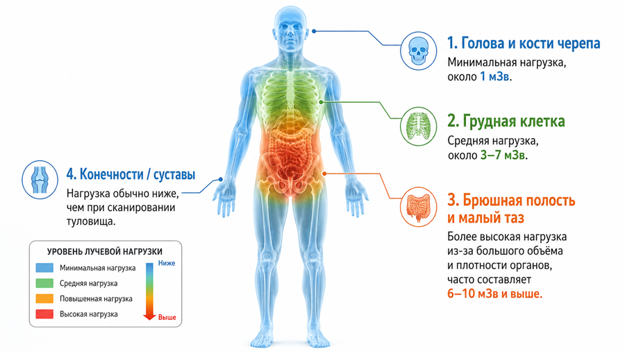 Лучевая нагрузка от КТ по частям тела - схема.