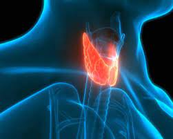 КТ щитовидной железы - диагностика