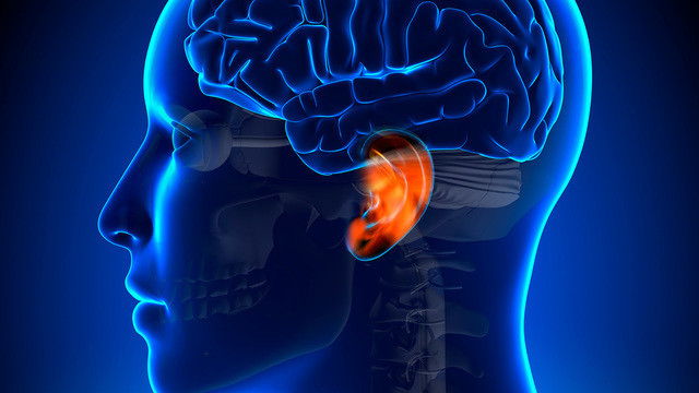 МРТ уха - особенности процедуры