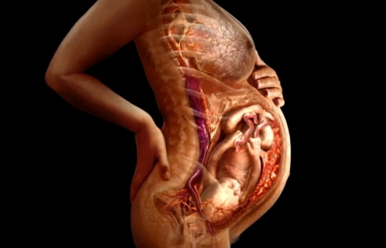 кт и мрт при беременности - противопоказания
