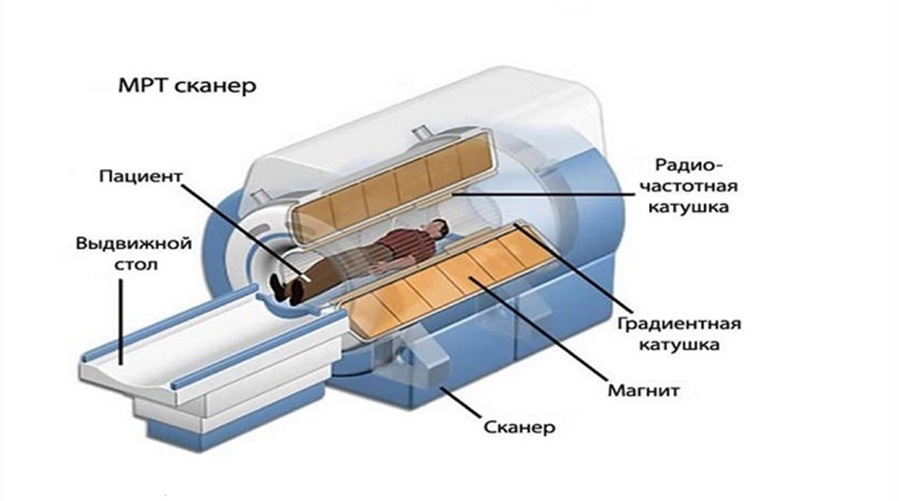 Строение и работа МРТ-сканера