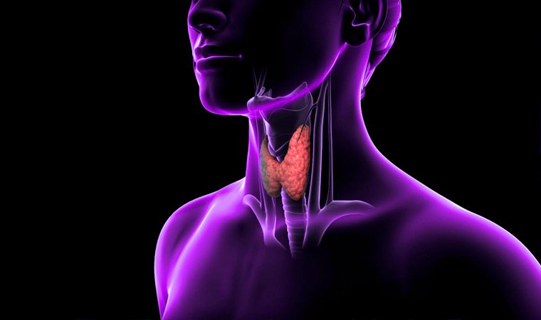 МРТ щитовидной железы - диагностика