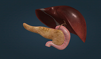 МРТ поджелудочной железы - диагностика